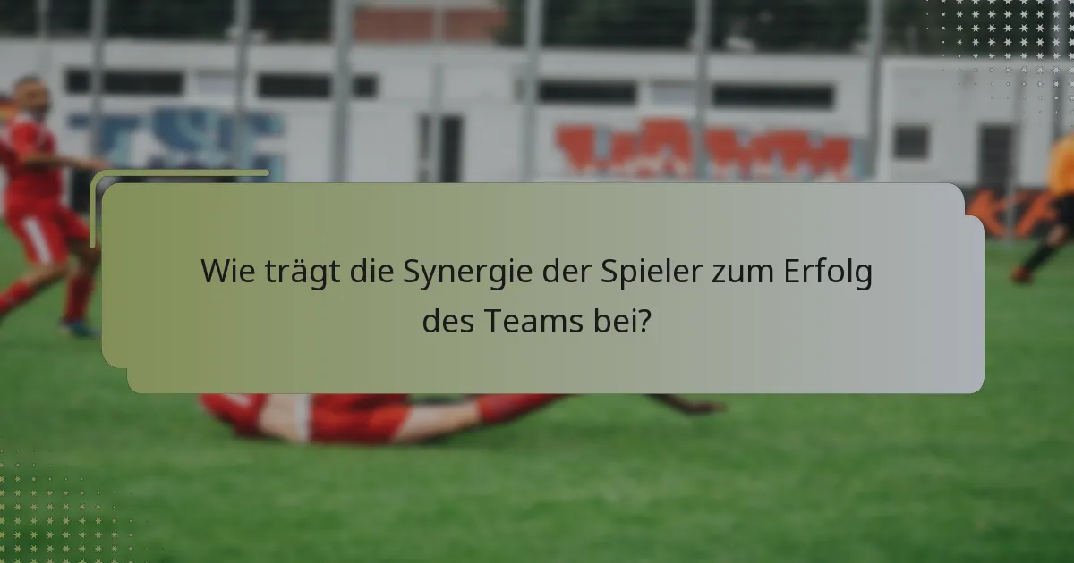 Wie trägt die Synergie der Spieler zum Erfolg des Teams bei?